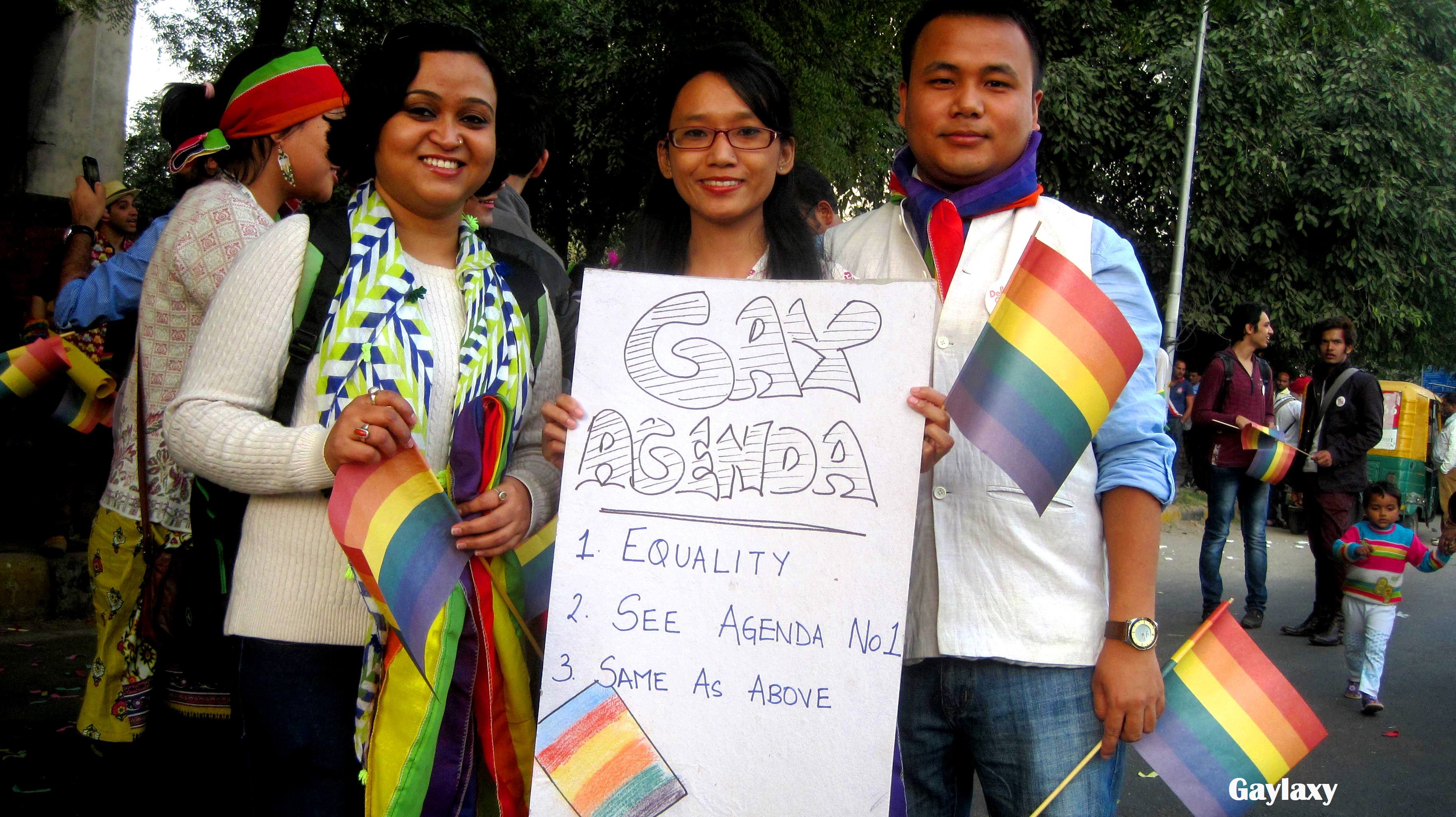 Delhi Queer Pride 2013