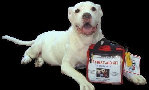 First Aid