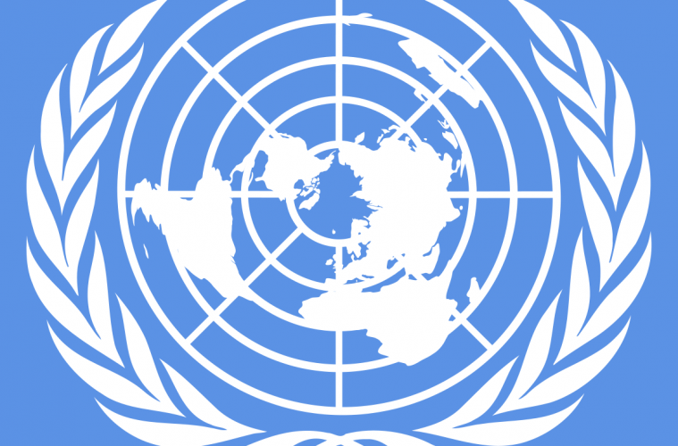 United Nations Logo